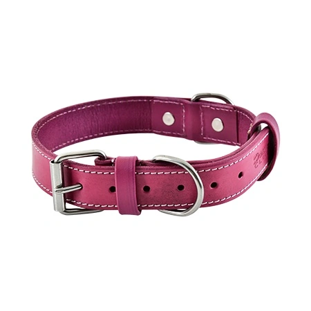 Pet Collar Product Photoshoot